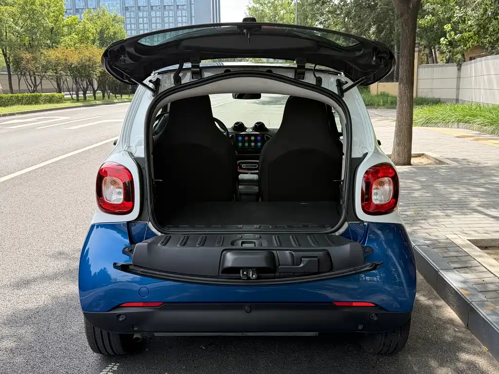 smart Smart Fortwo — миниатюра 13