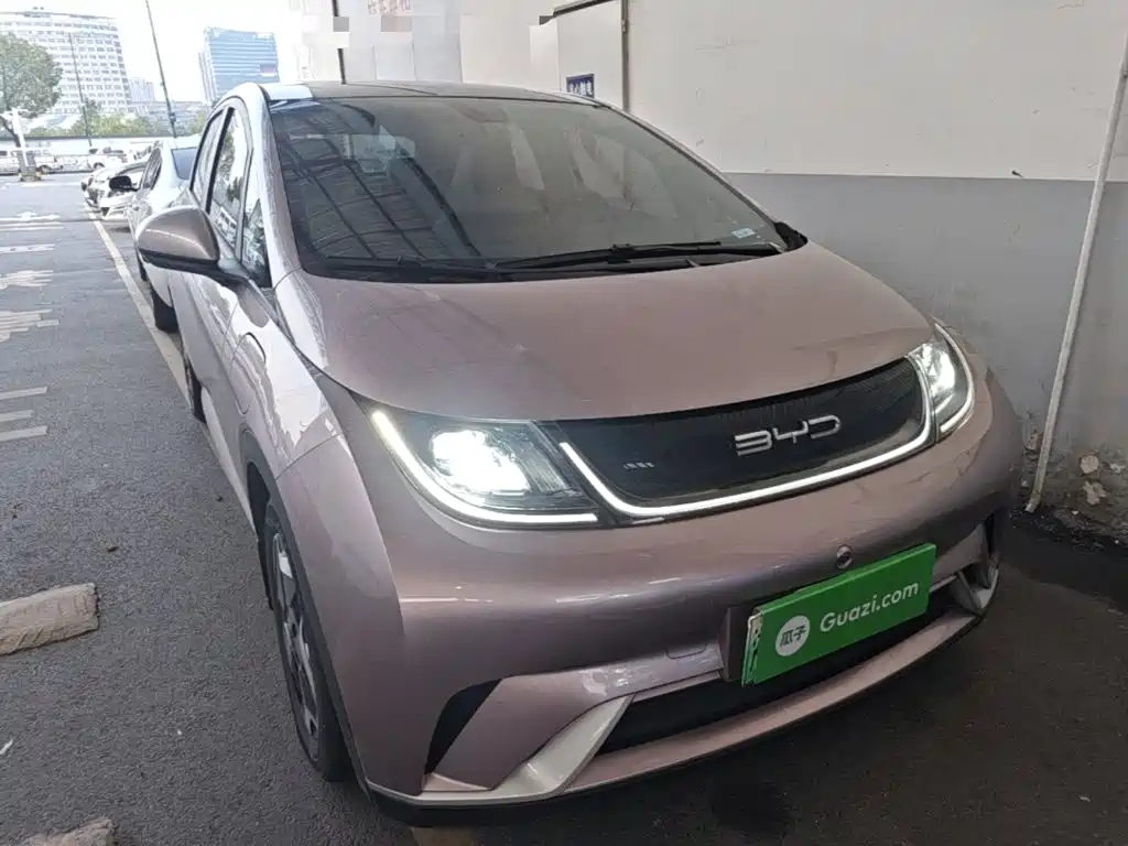 BYD Dolphin — миниатюра 4