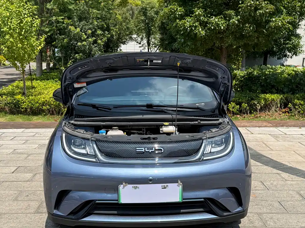 BYD Dolphin — миниатюра 21