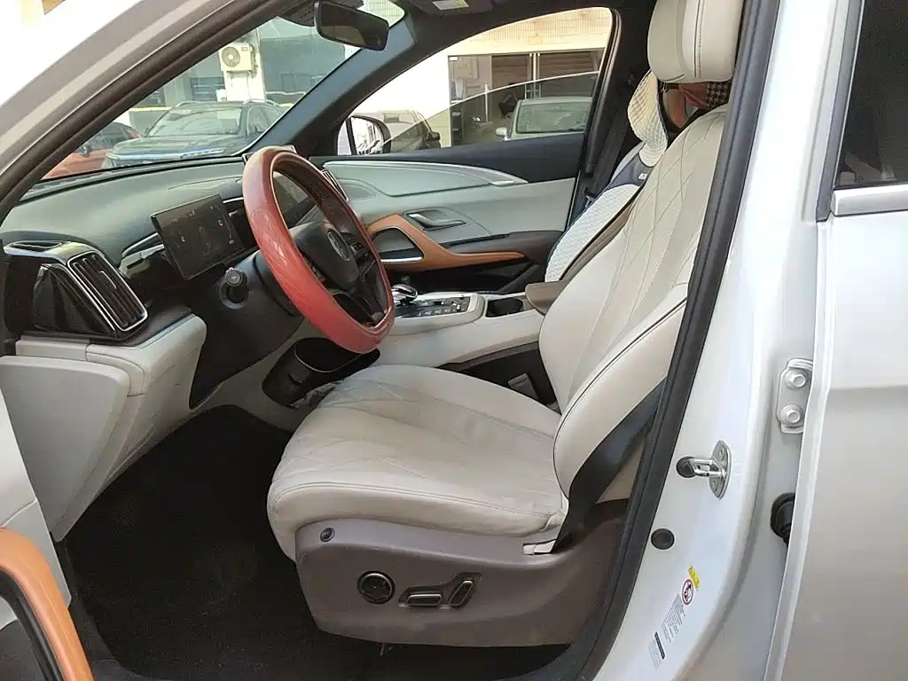 BYD Pro New Energy — миниатюра 8