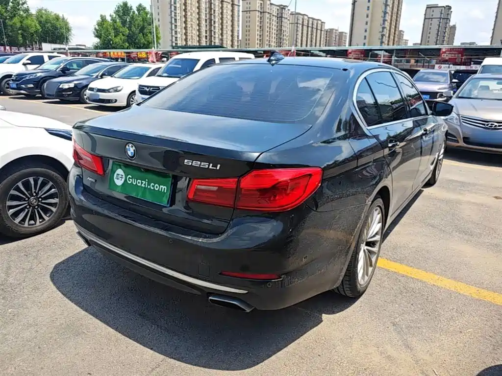 BMW 5 Series 5 2019 525Li Luxury