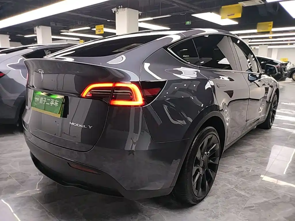 Tesla Model Y — миниатюра 7