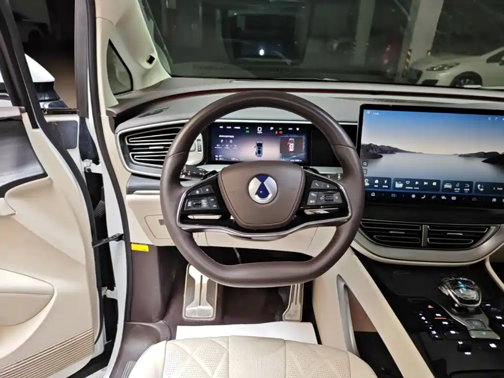 Denza Denza D9 — миниатюра 11