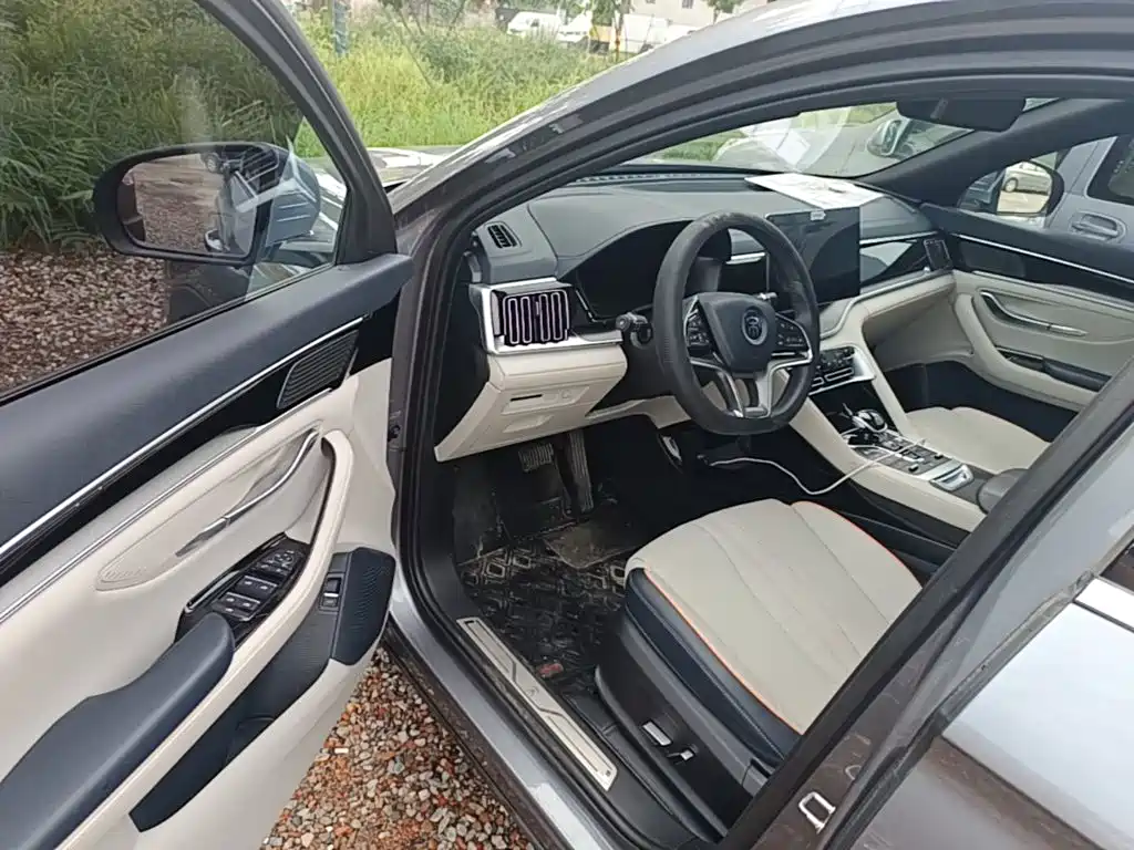 BYD PLUS New Energy — миниатюра 16