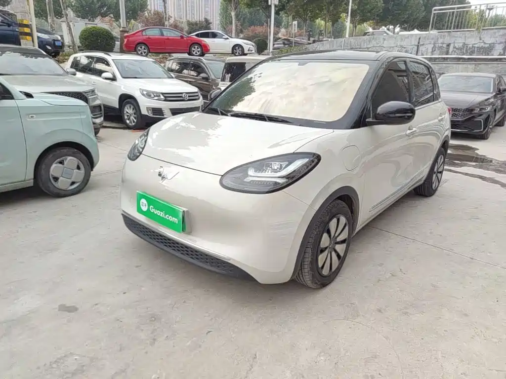 Wuling Bingo