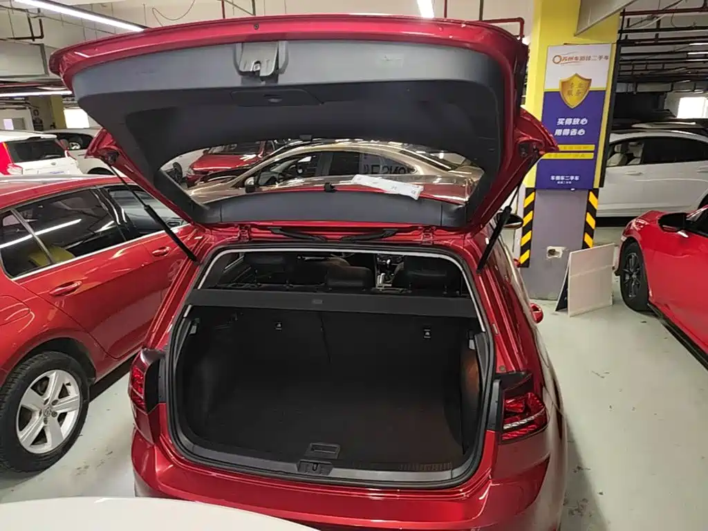 Volkswagen Golf — миниатюра 19