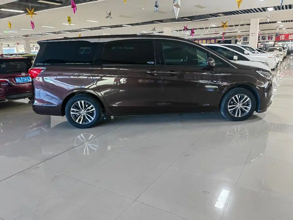 Buick GL8 — миниатюра 6