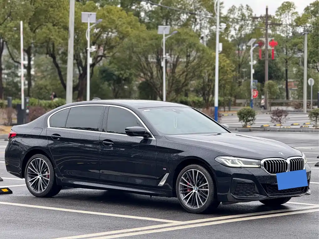 BMW 5 Series — миниатюра 3