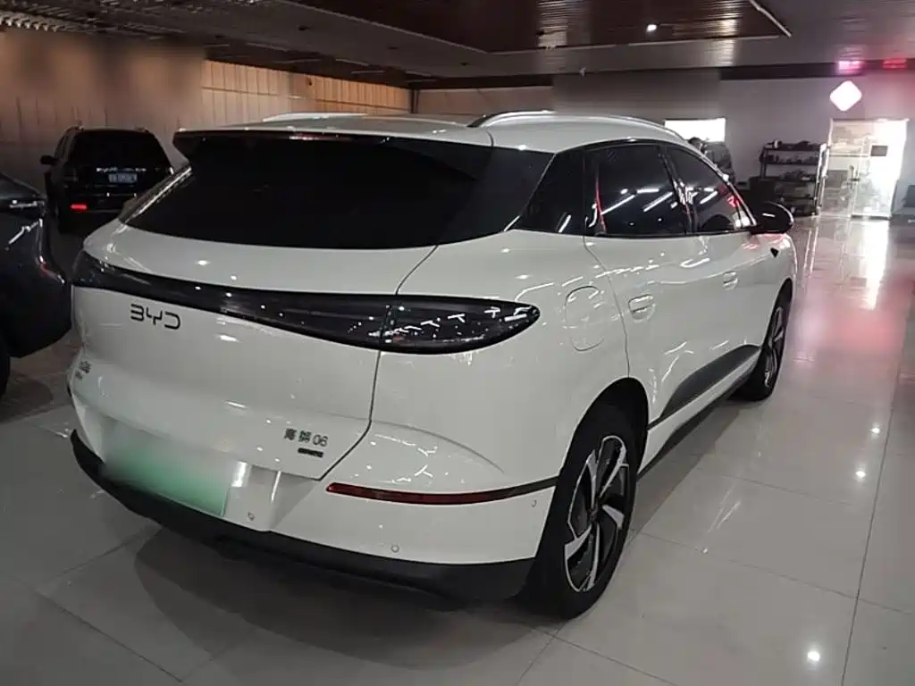 BYD Haisi 06 — миниатюра 7