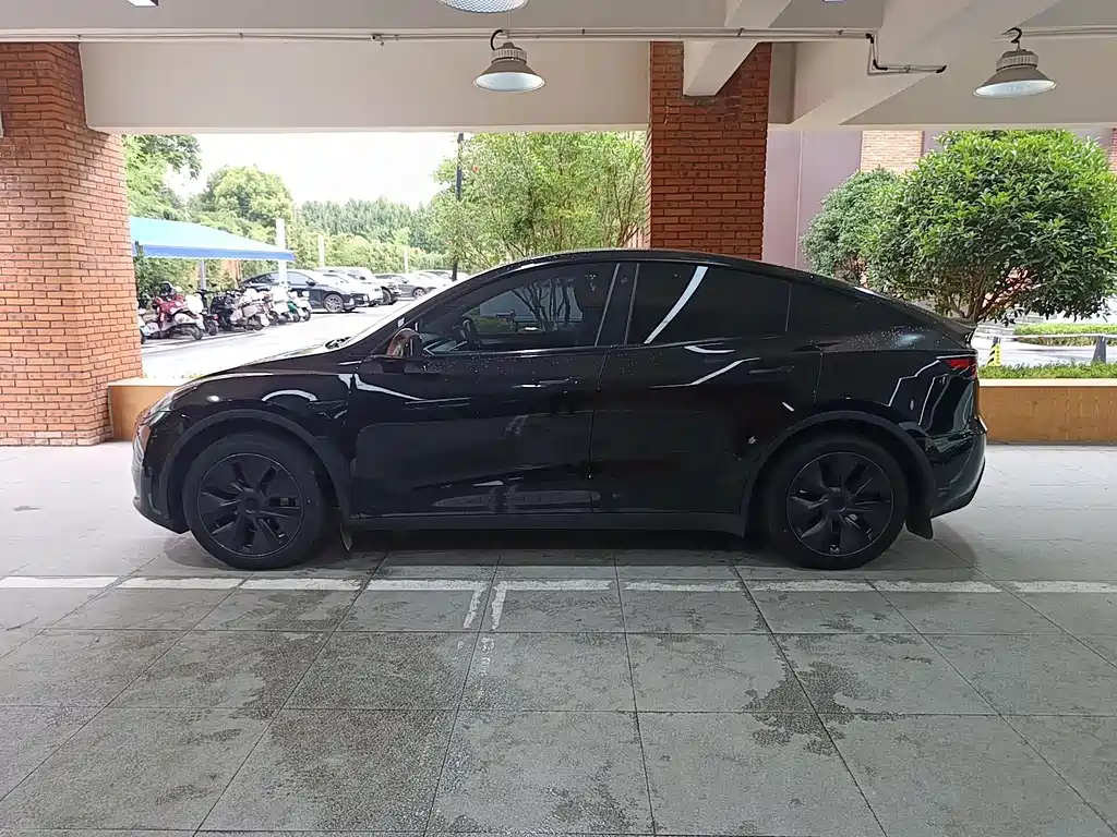 Tesla Model Y — миниатюра 2
