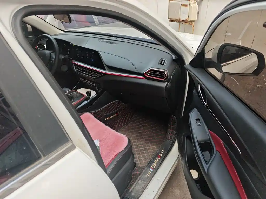 Oshan Oushang X5 — миниатюра 19