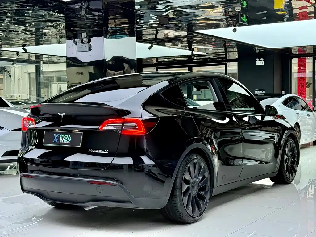 Tesla Model Y — миниатюра 13