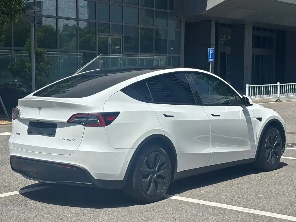 Tesla Model Y — миниатюра 19