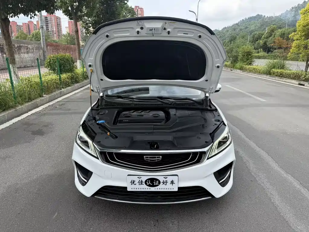 Geely Binrui — миниатюра 8