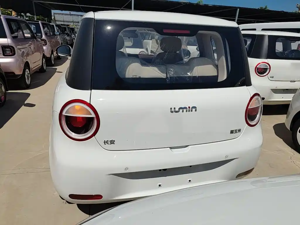 Qiyuan Lumin — миниатюра 6