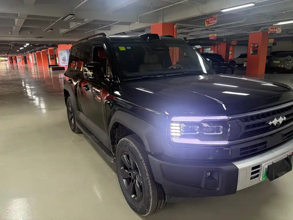 Fang Cheng Bao Leopard 5 — миниатюра 13