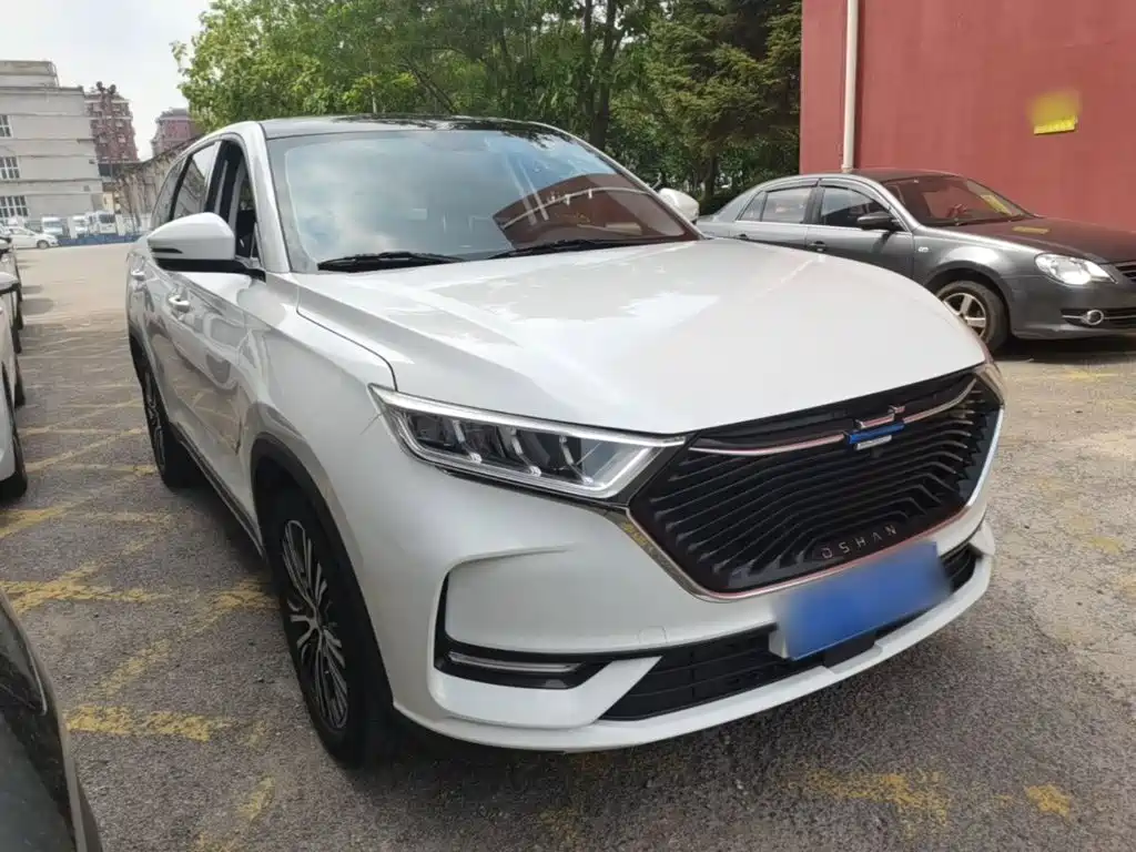 Oshan Oushang X7 — миниатюра 4