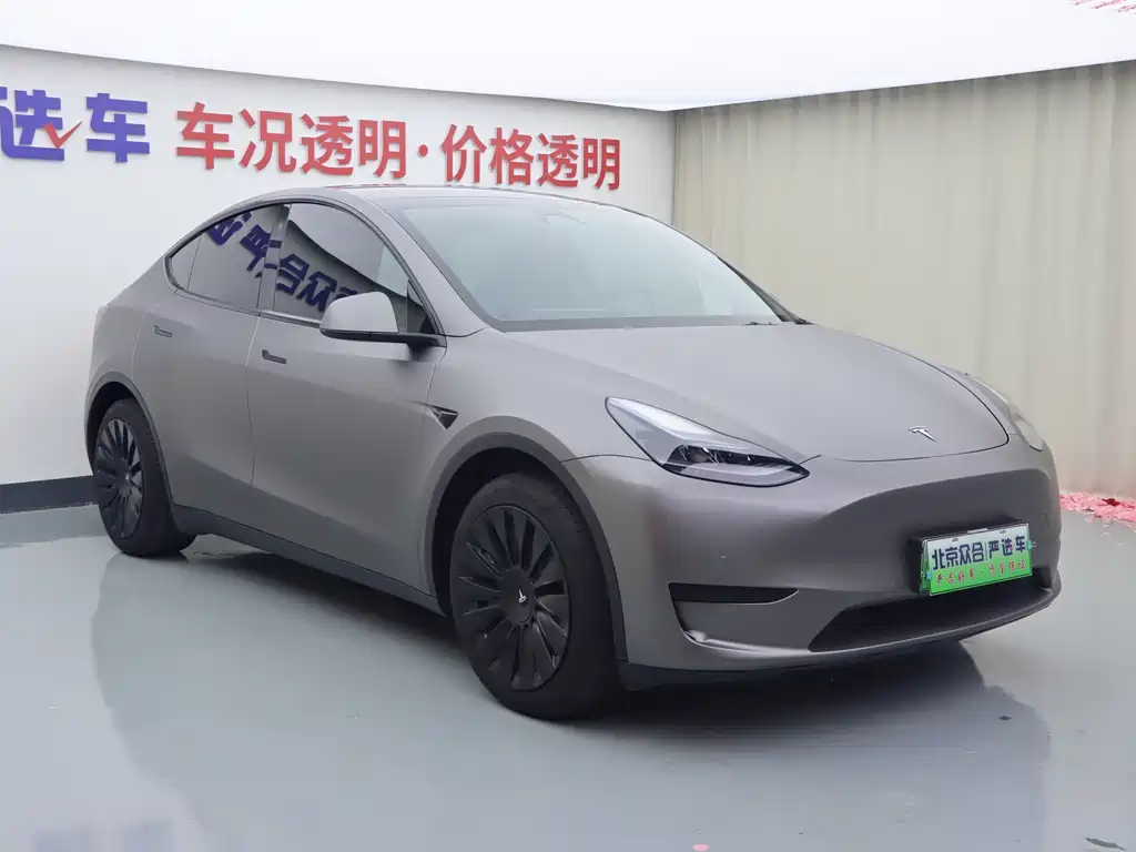 Tesla Model Y — миниатюра 2