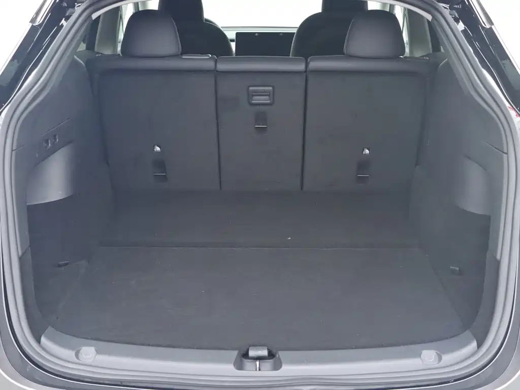 Tesla Model Y — миниатюра 18