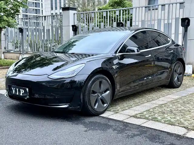 TESLA MODEL 3 2020