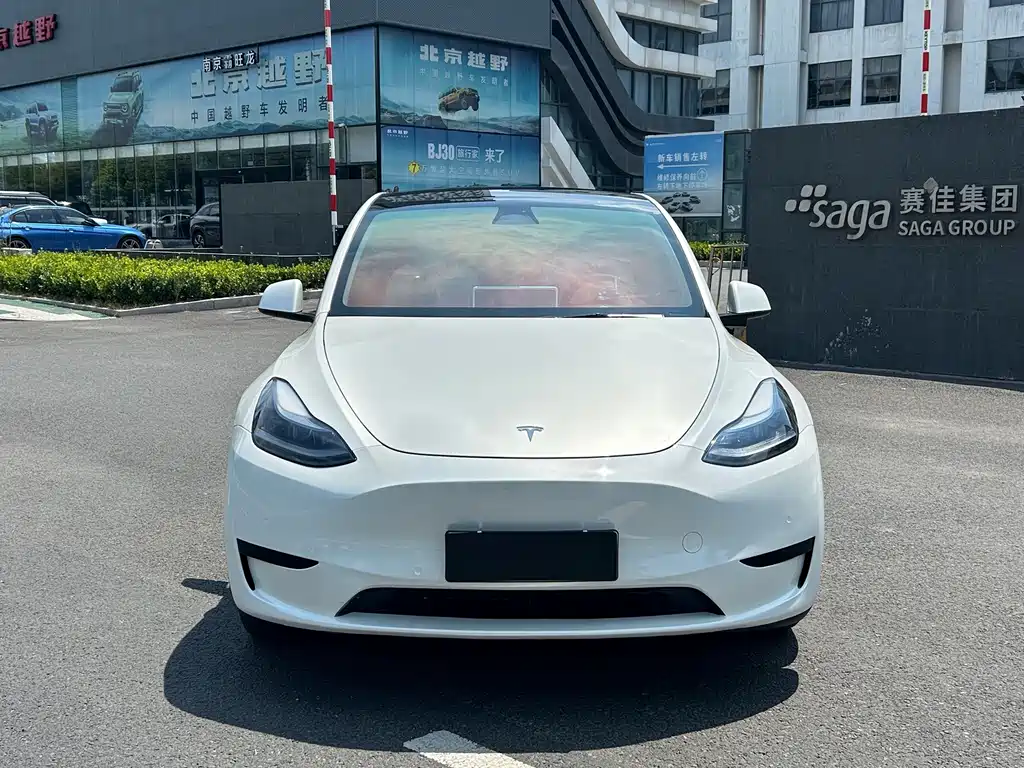 Tesla Model Y — миниатюра 2
