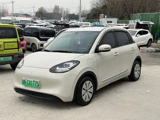 WULING WULING BINGGUO 2023