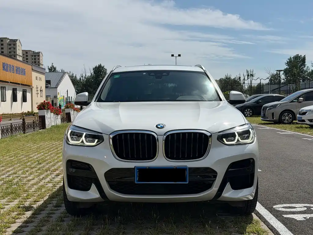 BMW X3 — миниатюра 2