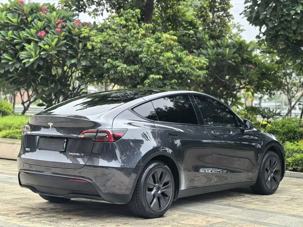 Tesla Model Y — миниатюра 10