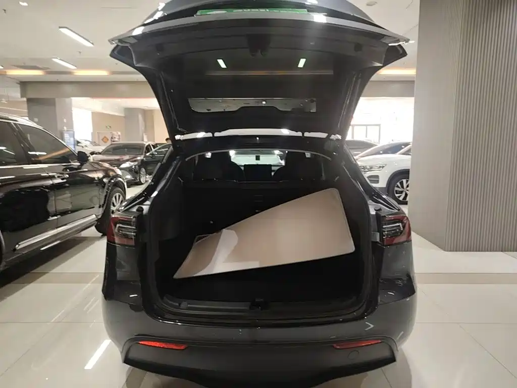 Tesla Model Y — миниатюра 19