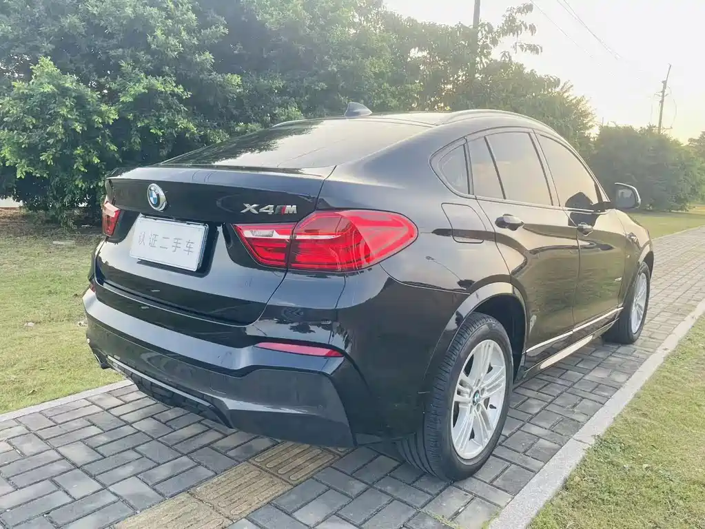 BMW X4 — миниатюра 4