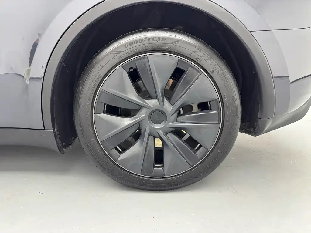 Tesla Model Y — миниатюра 12