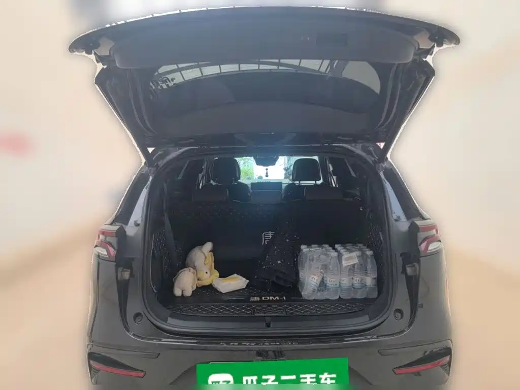 BYD Tang New Energy — миниатюра 20