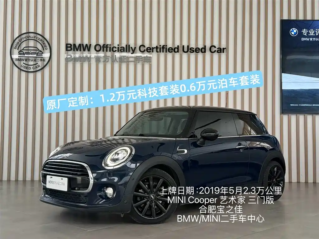 Mini Mini 2019