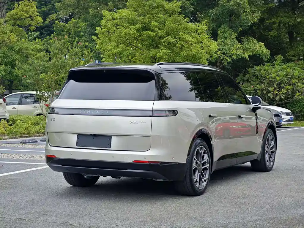 Lynk & Co 900 — миниатюра 26