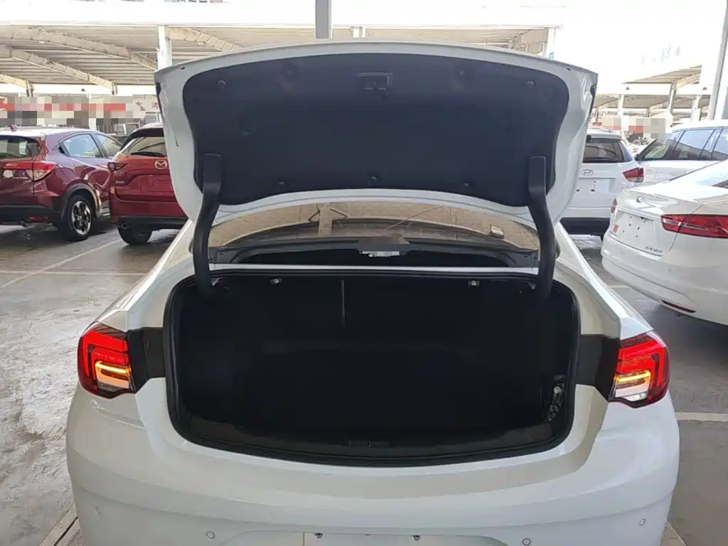Buick Regal — миниатюра 19