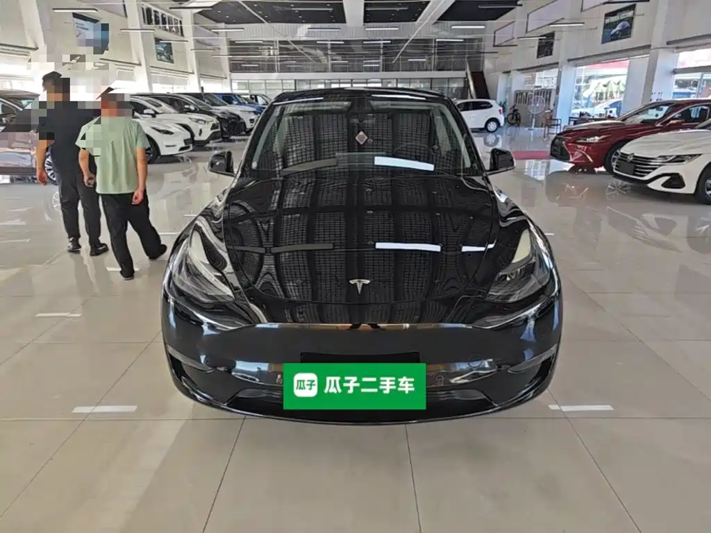 Tesla Model Y — миниатюра 3