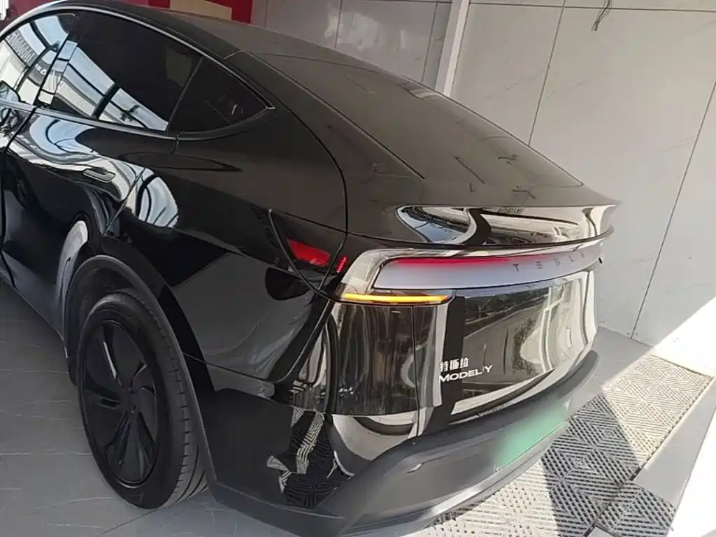 Tesla Model Y — миниатюра 6