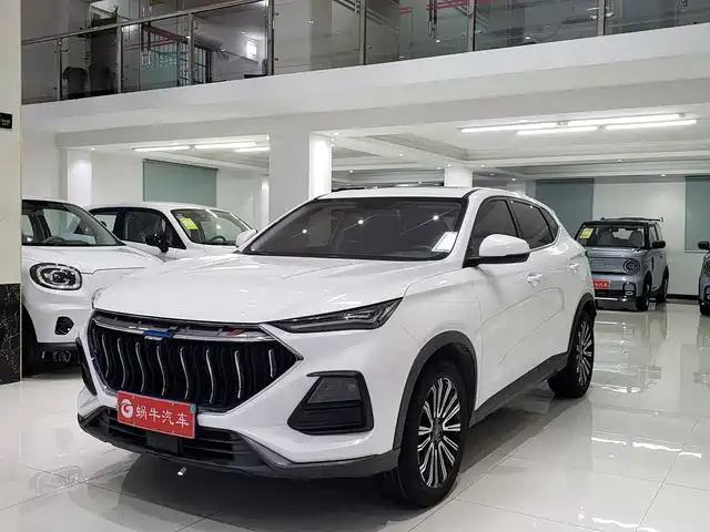 CHANGAN CHANGAN AUCHAN X5 2022