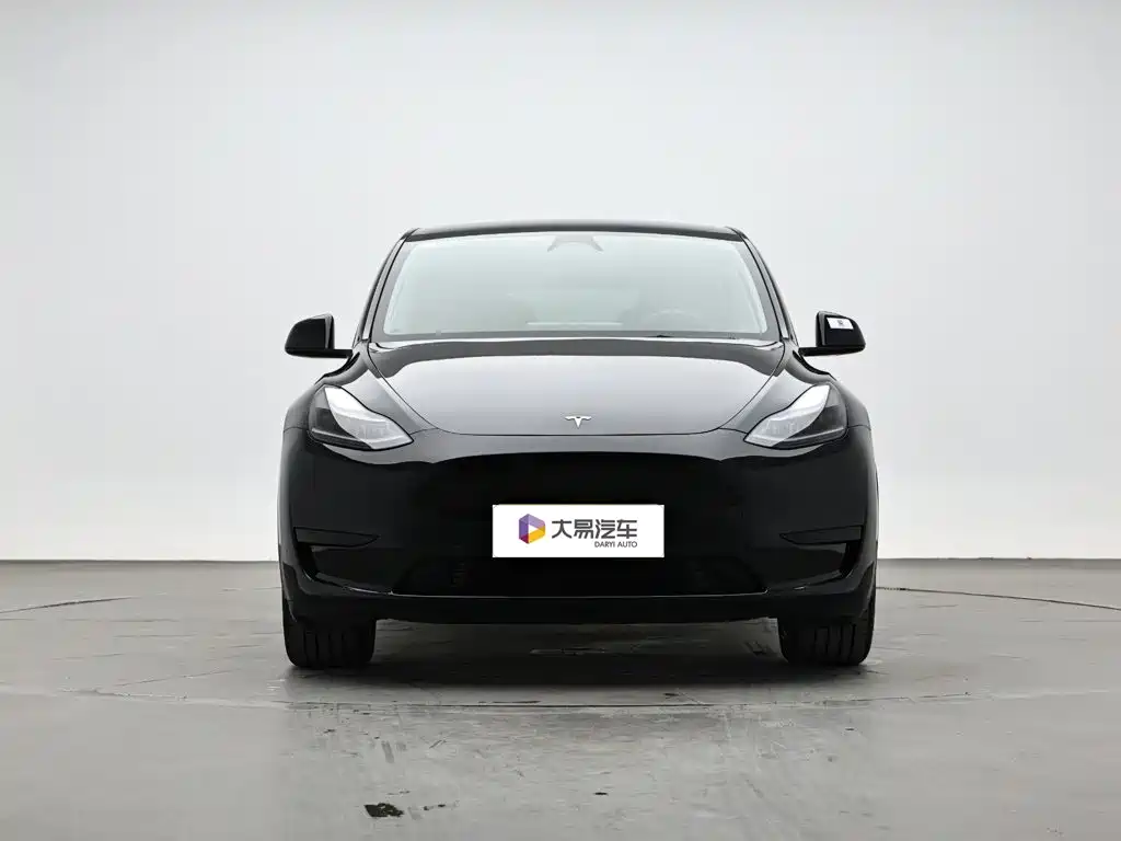 Tesla Model Y — миниатюра 2