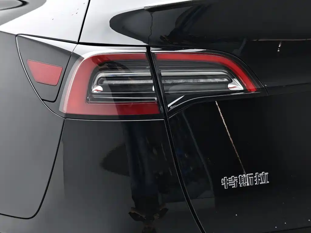 Tesla Model Y — миниатюра 7