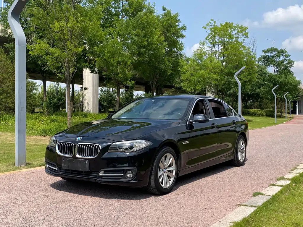 BMW 5 Series 2014 520Li Classic Type