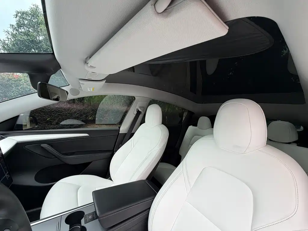 Tesla Model Y — миниатюра 8