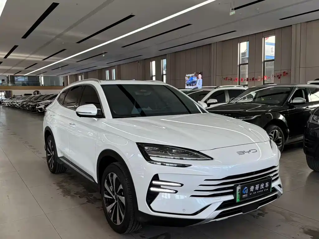 BYD SONGJIANG NEW ENERGY