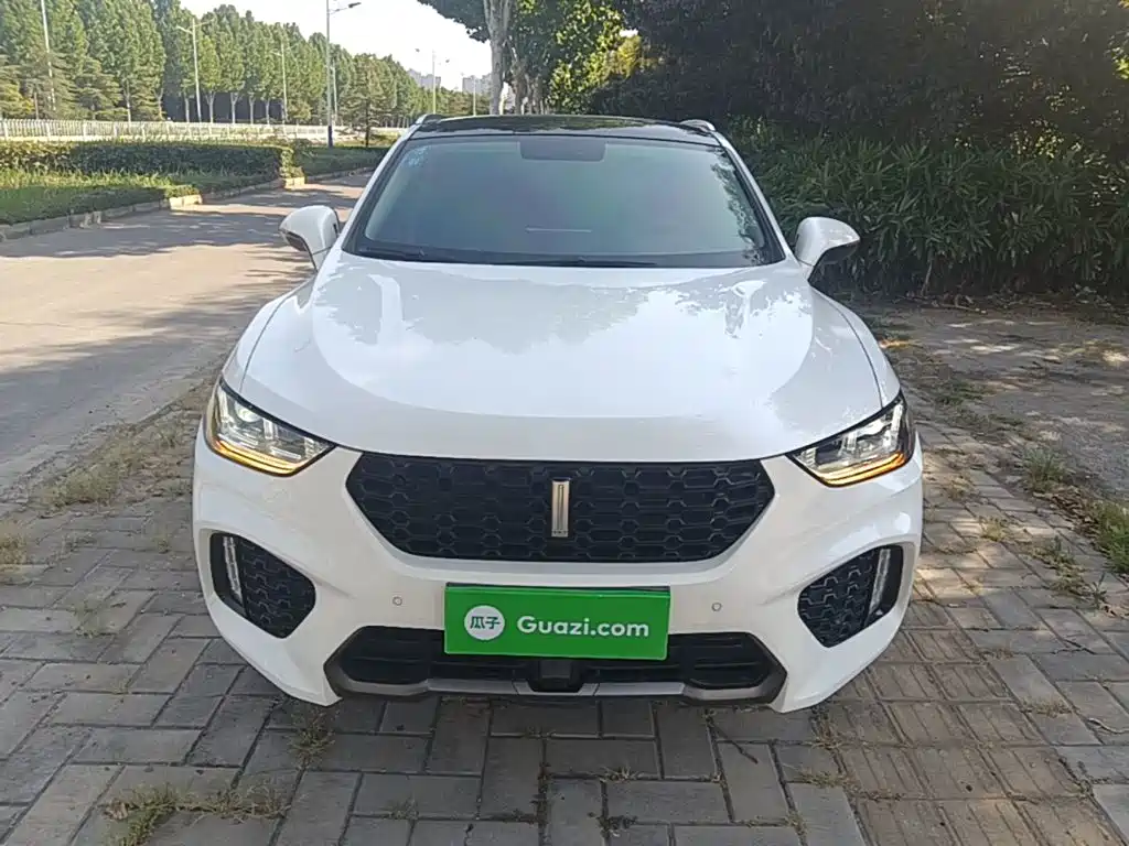 Wey Wey VV5 — миниатюра 3