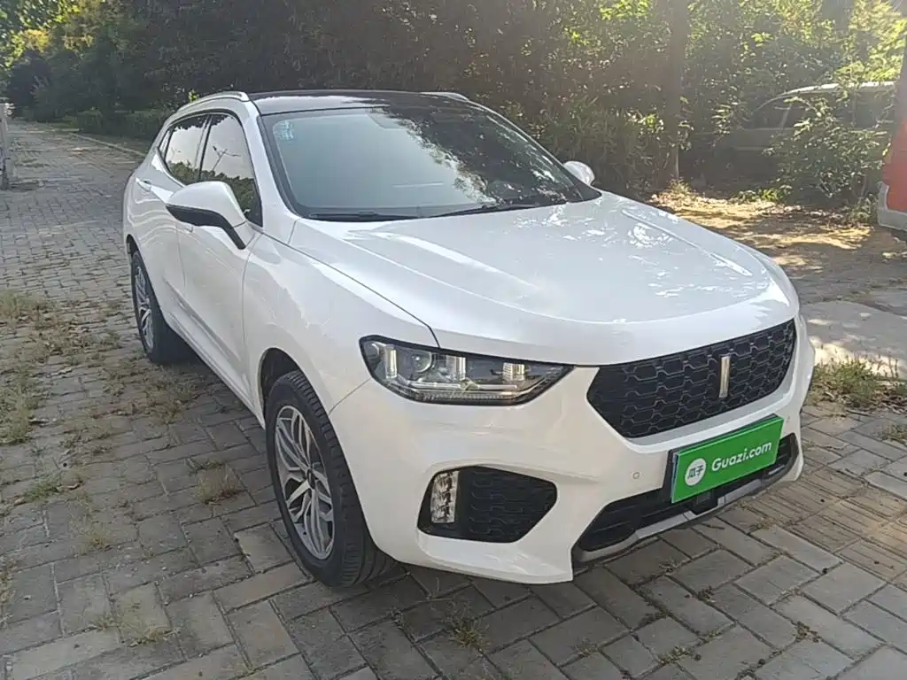 Wey Wey VV5 — миниатюра 4