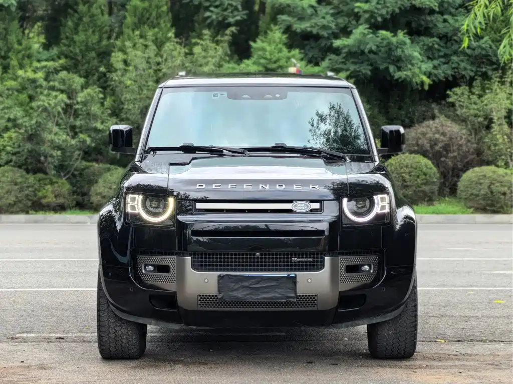 Land Rover Defender — миниатюра 2