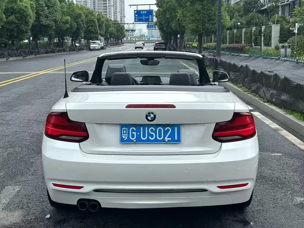 BMW 2 Series 2 2019 225i Sport