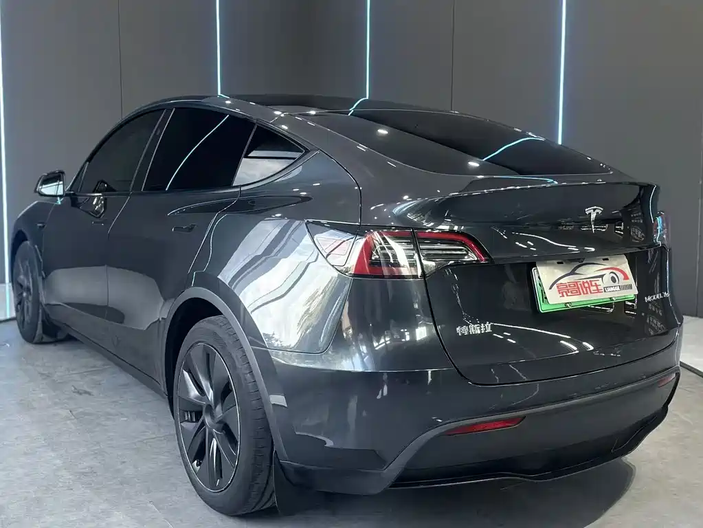 Tesla Model Y — миниатюра 8