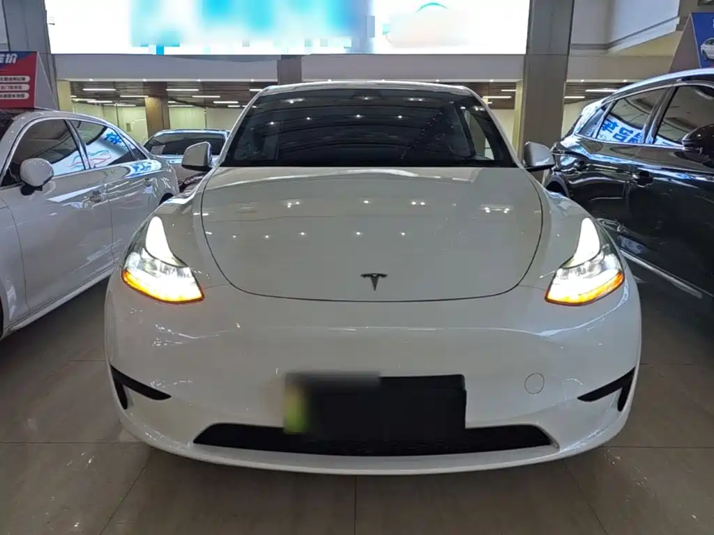 Tesla Model Y — миниатюра 3