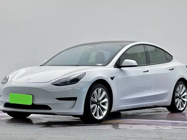 TESLA MODEL 3 2021